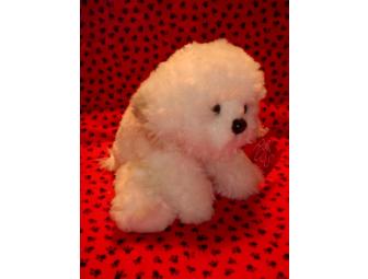 Plush Bichon Puppy