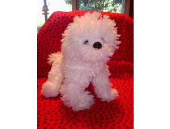 Plush Bichon Pup