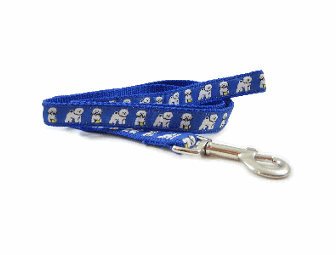 Bichon Blue Collar and Leash