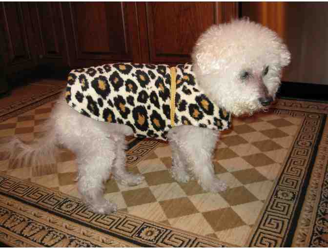 Leopard Doggie Coat