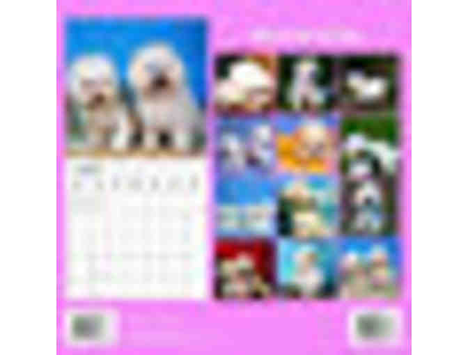 Bichon Frise 2014 Wall Calendar