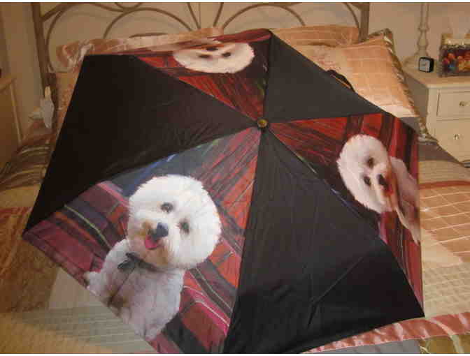Bichon Frise Design Compact Umbrella