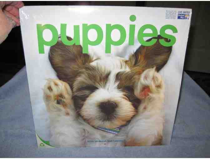 PUPPIES 2014 WALL CALENDAR