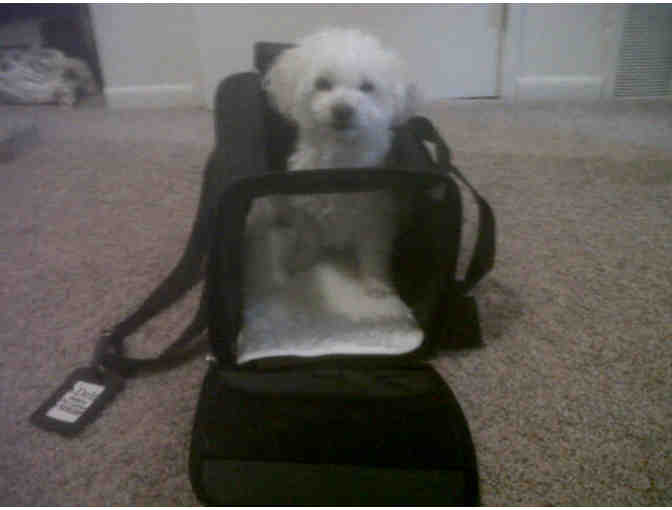 Overseas Pet Carrier