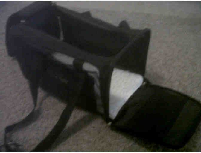 Overseas Pet Carrier