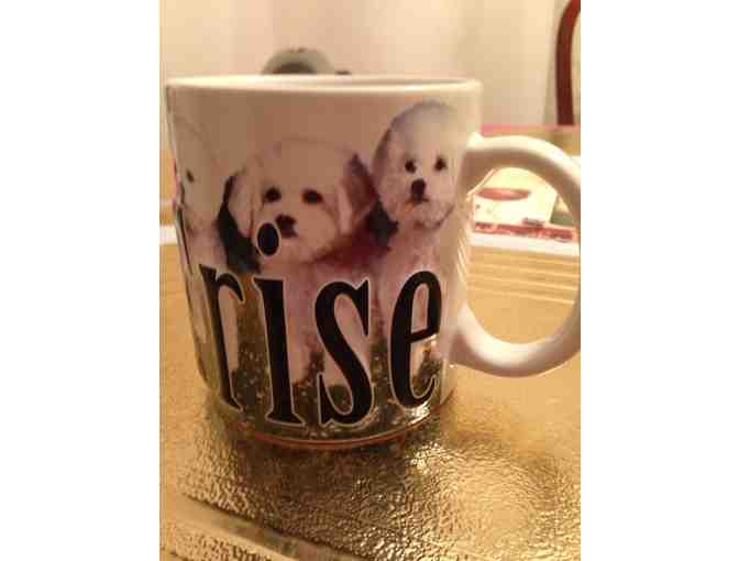 Bichon Frise Mug