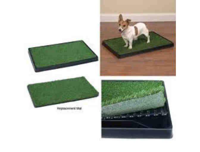 Clean Go Pet Indoor Potty