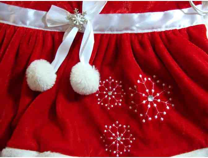 Doggie Christmas Dress