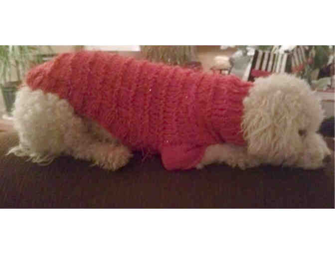Doggie Sweater