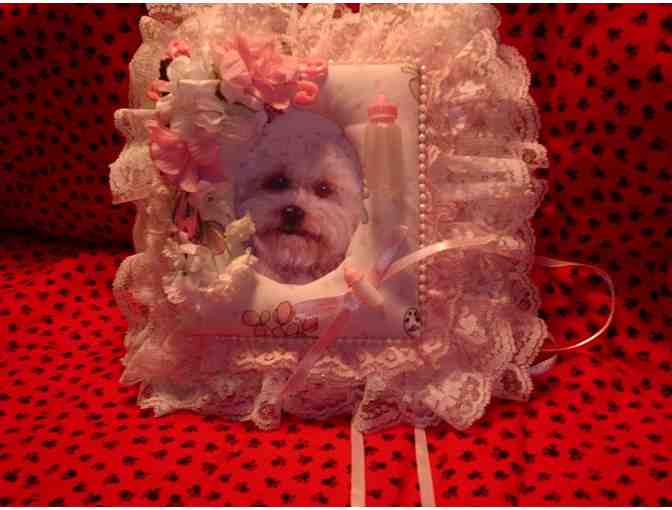 Bichon Baby Book