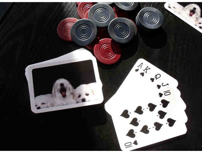 Playing Cards