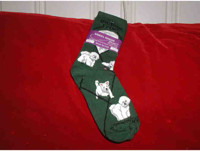 Bichon Socks - Green