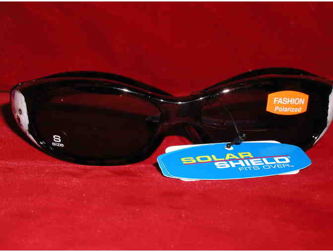 Handpainted Bichon Sunglasses