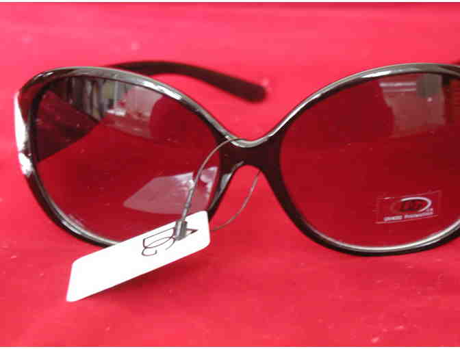 Handpainted Bichon DG Sunglasses