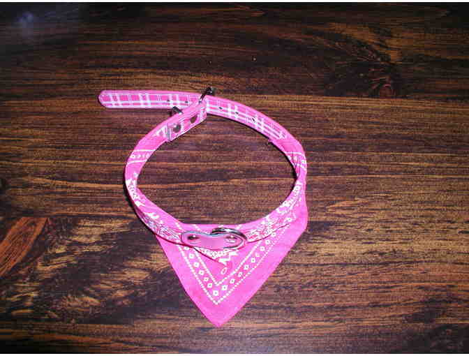 New! Pink Paisley Dog Collar.