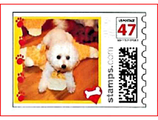 Sasha Bichon US Postage Stamp Sheet