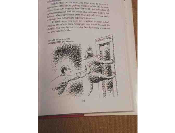 How to Live with a Neurotic Dog