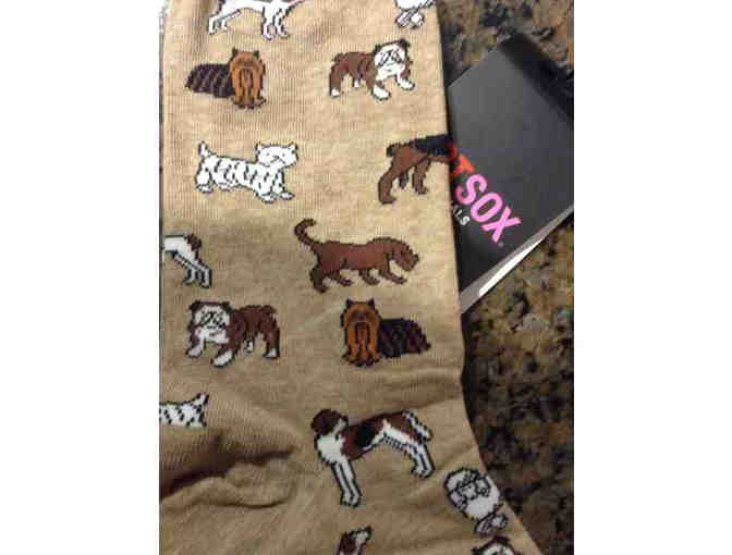 Beige Hot Sox Socks Dog pattern