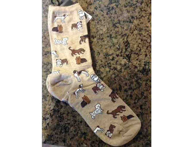 Beige Hot Sox Socks Dog pattern