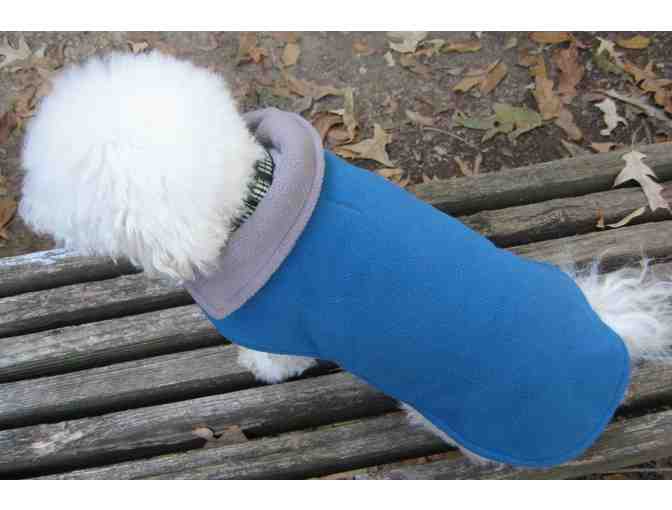 Aqua Blue Gray Reversible Dog Coat