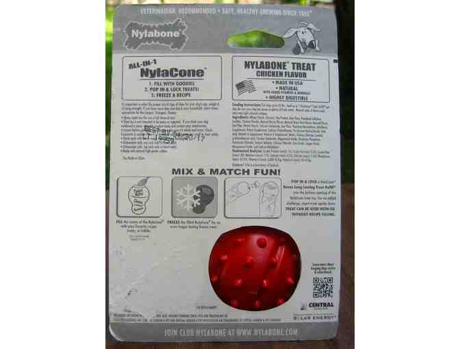Nylabone Kong with treat