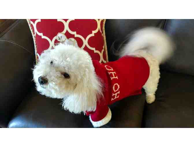 Dog Christmas Sweater