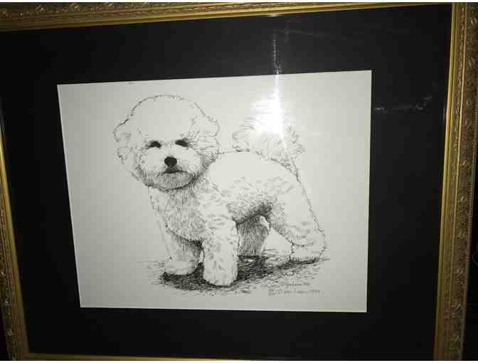 Bichon Frise 'Puppy Standing' Limited Edition Print by Martha Van Loan