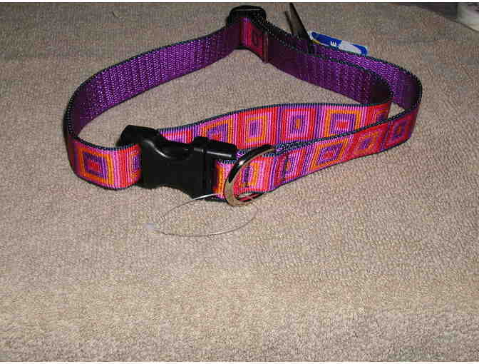 Multi Color Dog Collar by Lupine - New!
