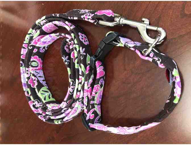 Dog leash and matching collar