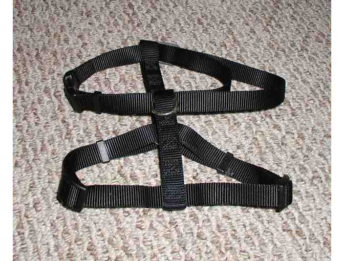 Dog Harness. H Style.
