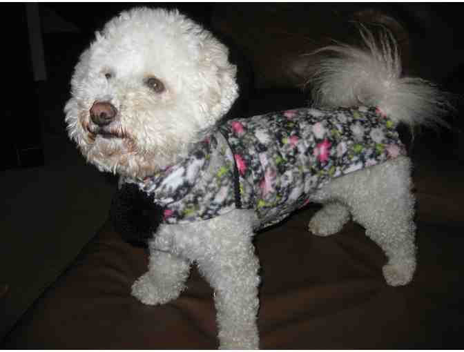 Dog Coat and Scarf - Floral