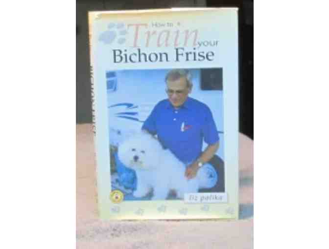 How To Train your  Bichon Frise