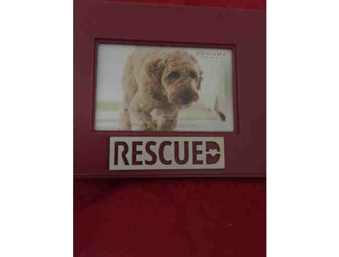 Rescued Picture Frame