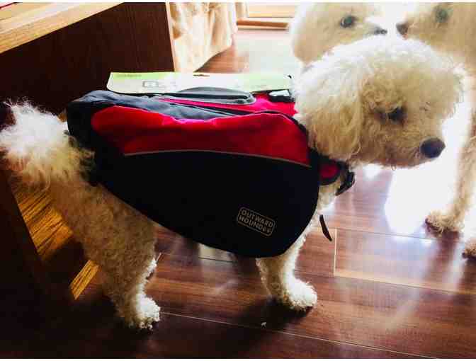 Doggie Backpack