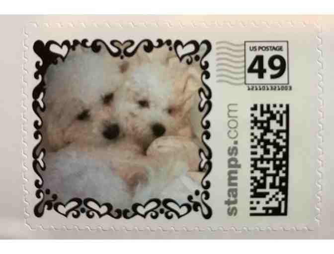 Snuggy Bug Bichons USA Stamp Sheet