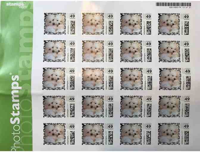 Snuggy Bug Bichons USA Stamp Sheet