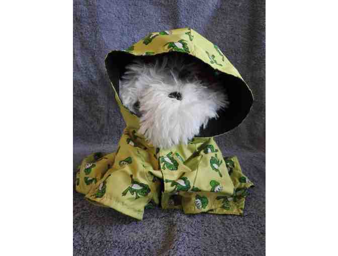 Doggie 'frog' raincoat