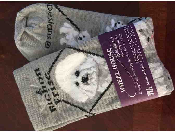 Bichon socks