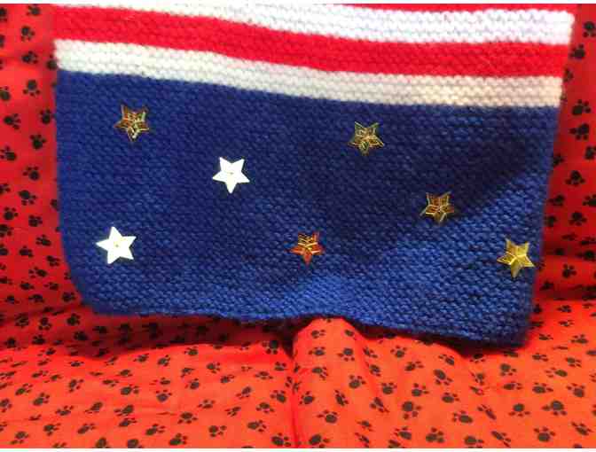 Beautiful Bichon sweater