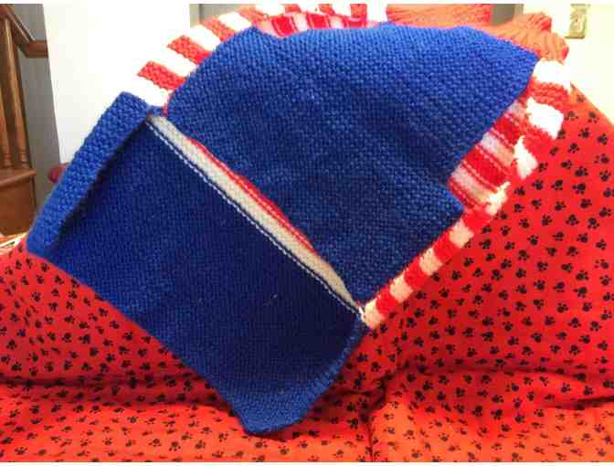 Beautiful Bichon sweater