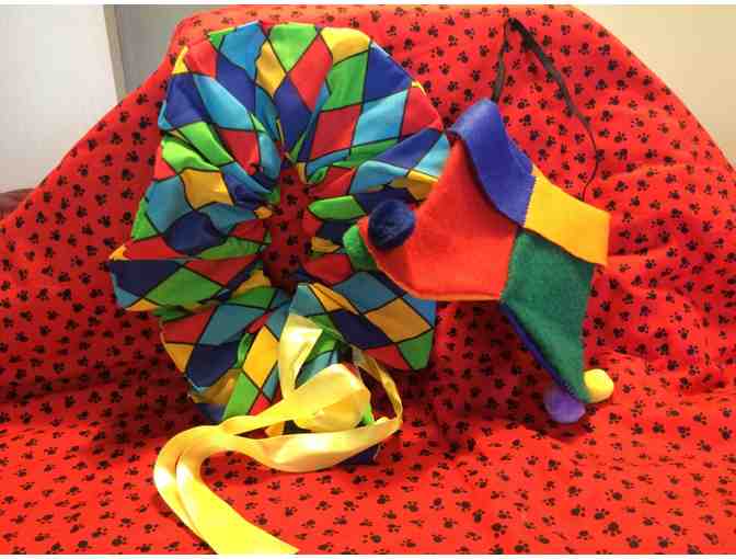 3 Bichon Halloween Costumes