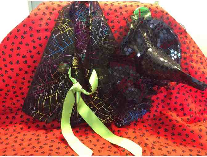 3 Bichon Halloween Costumes