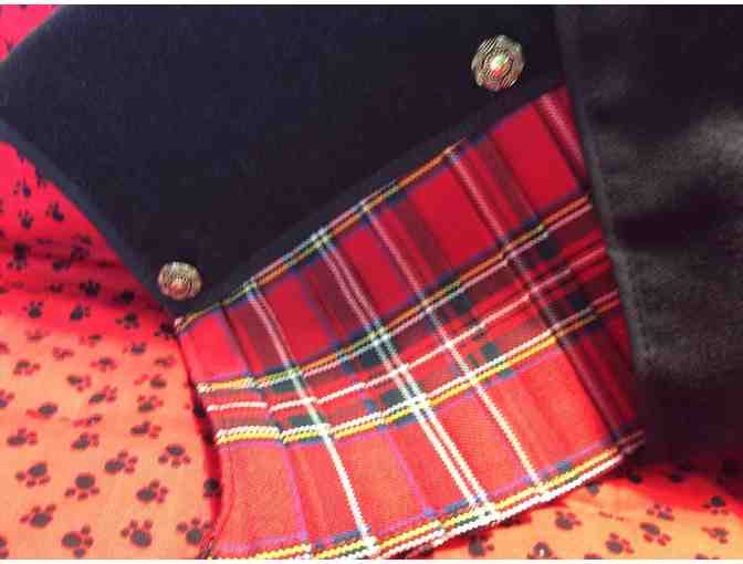Bichon Scottish Kilt
