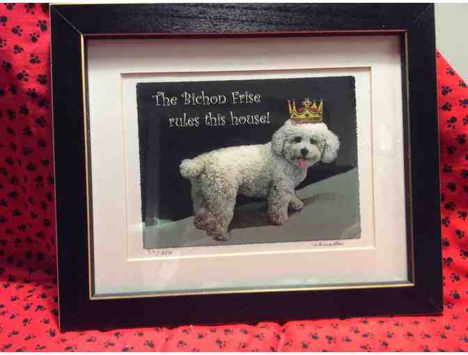 Bichon Frise Rules Print and Frame