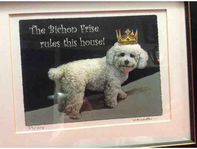 Bichon Frise Rules Print and Frame