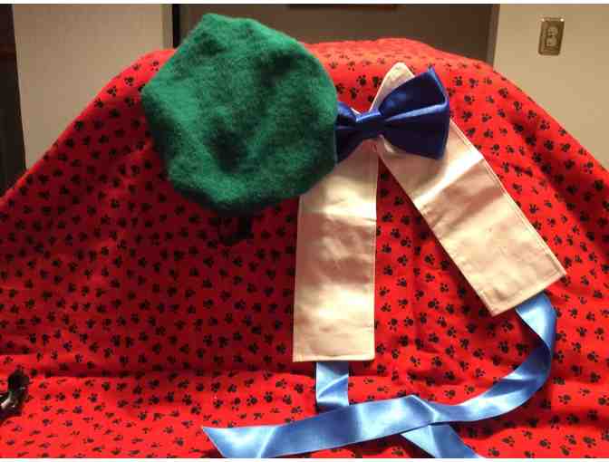 Bichon Halloween Costumes