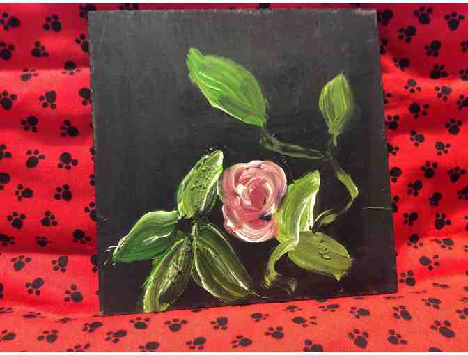 Believe In Heavenly Bichons