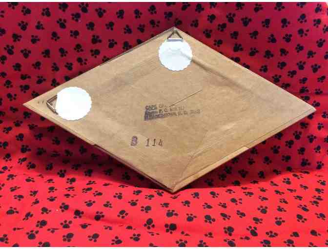 Two Adorable Bichons painting