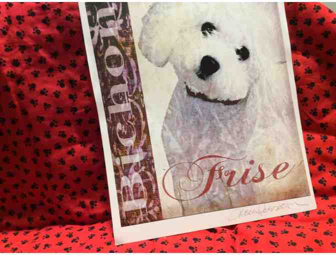 Bichon Frise Poster/Print