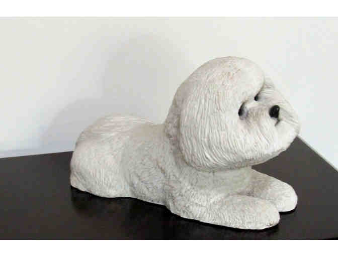 Bichon Sandicast